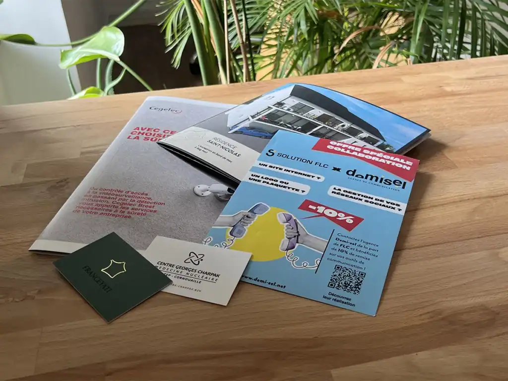 Brochures et flyers de Demi-sel illustrant compétences et solutions professionnelles.